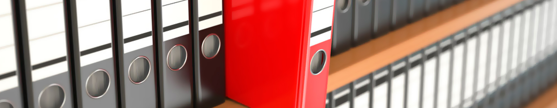 etichettatrici brother